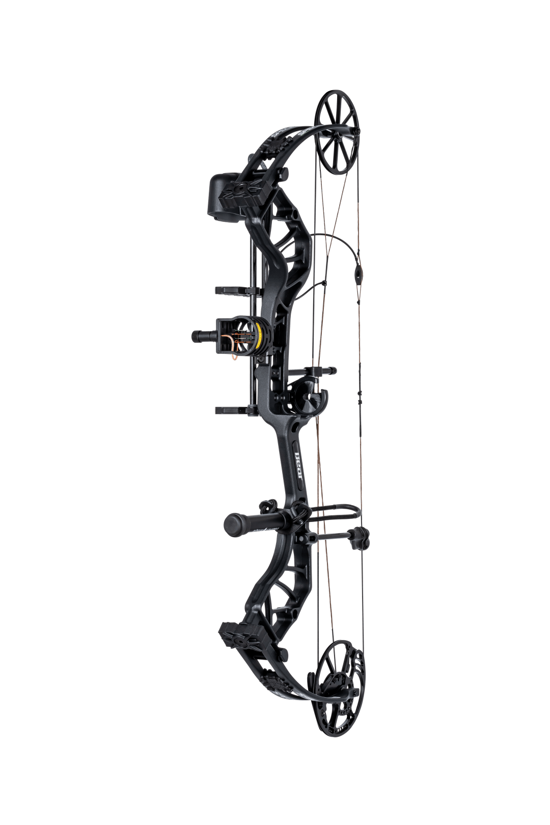 Bear Species XT RTH