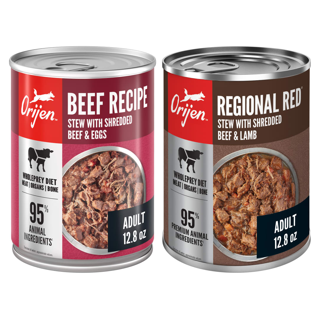ORIJEN Real Meat Shreds Wet Dog Food Variety Pack: Regional Red + Beef Recipes