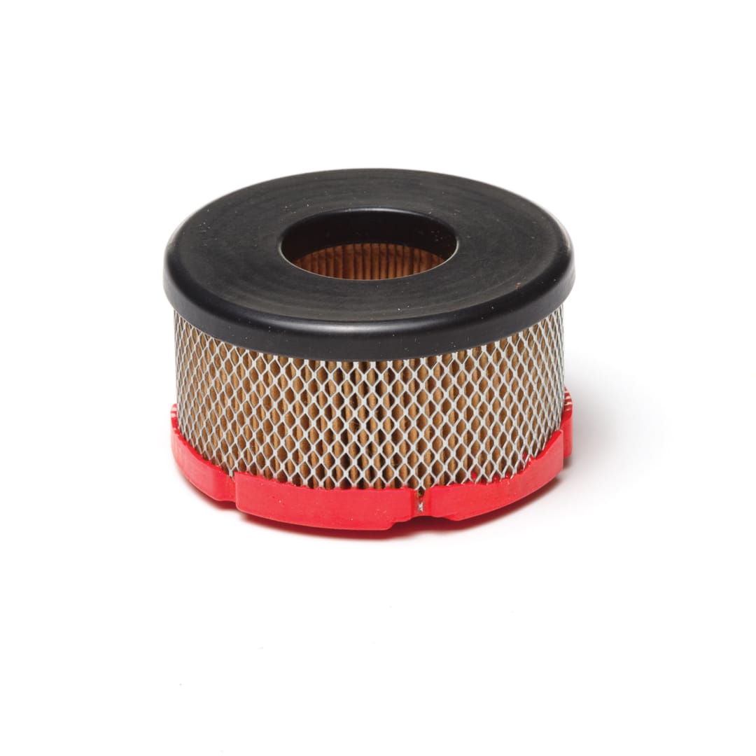 Air Filter, Briggs and Stratton