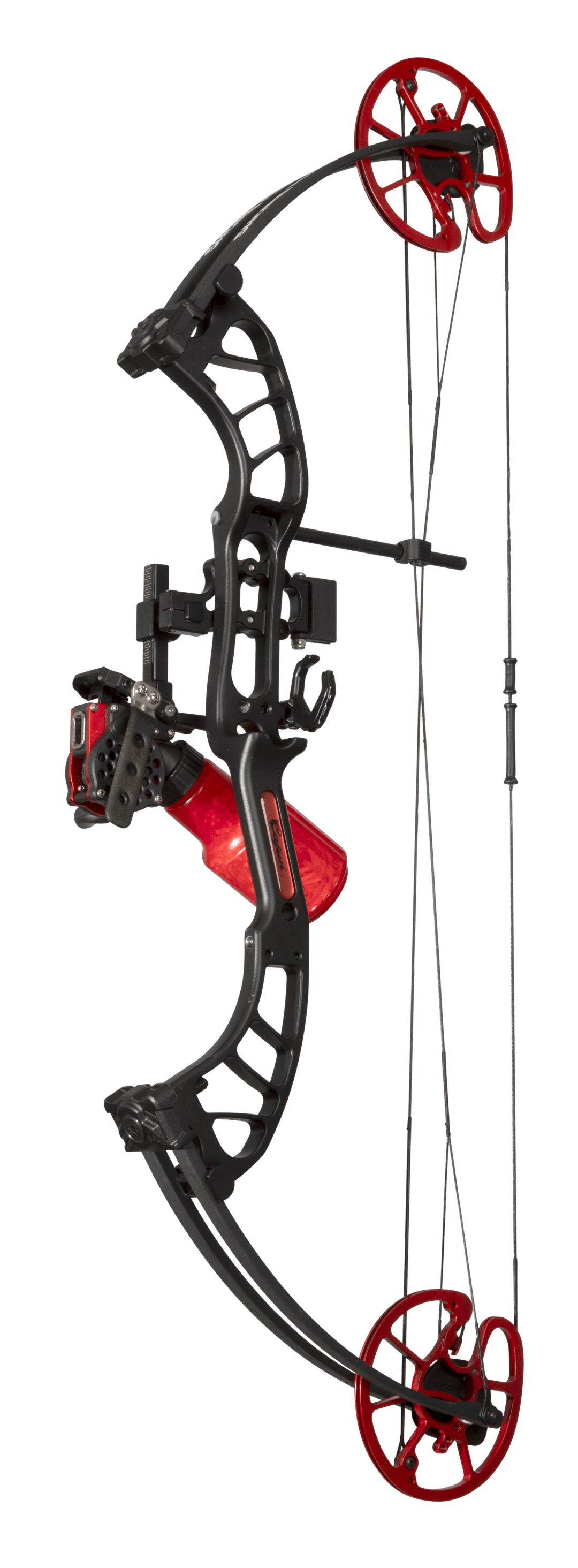 Cajun Bowfishing Shore Runner 