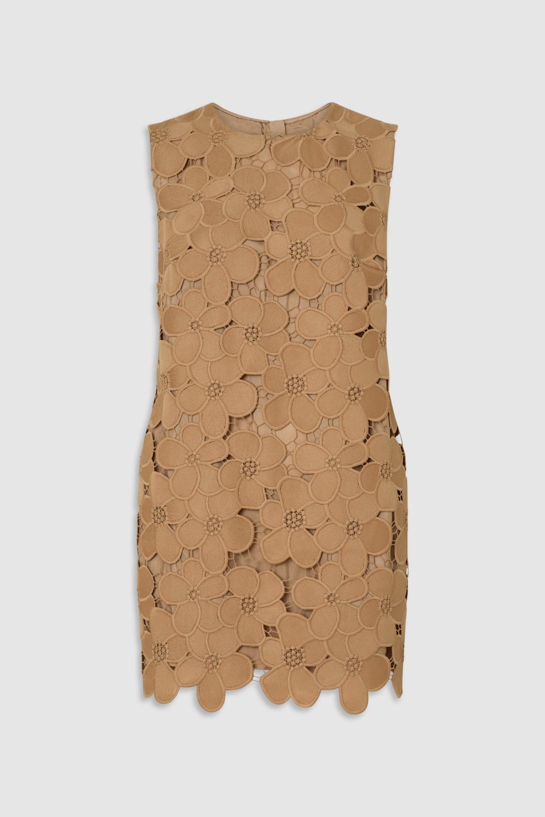 Poppy Lace Mini Dress