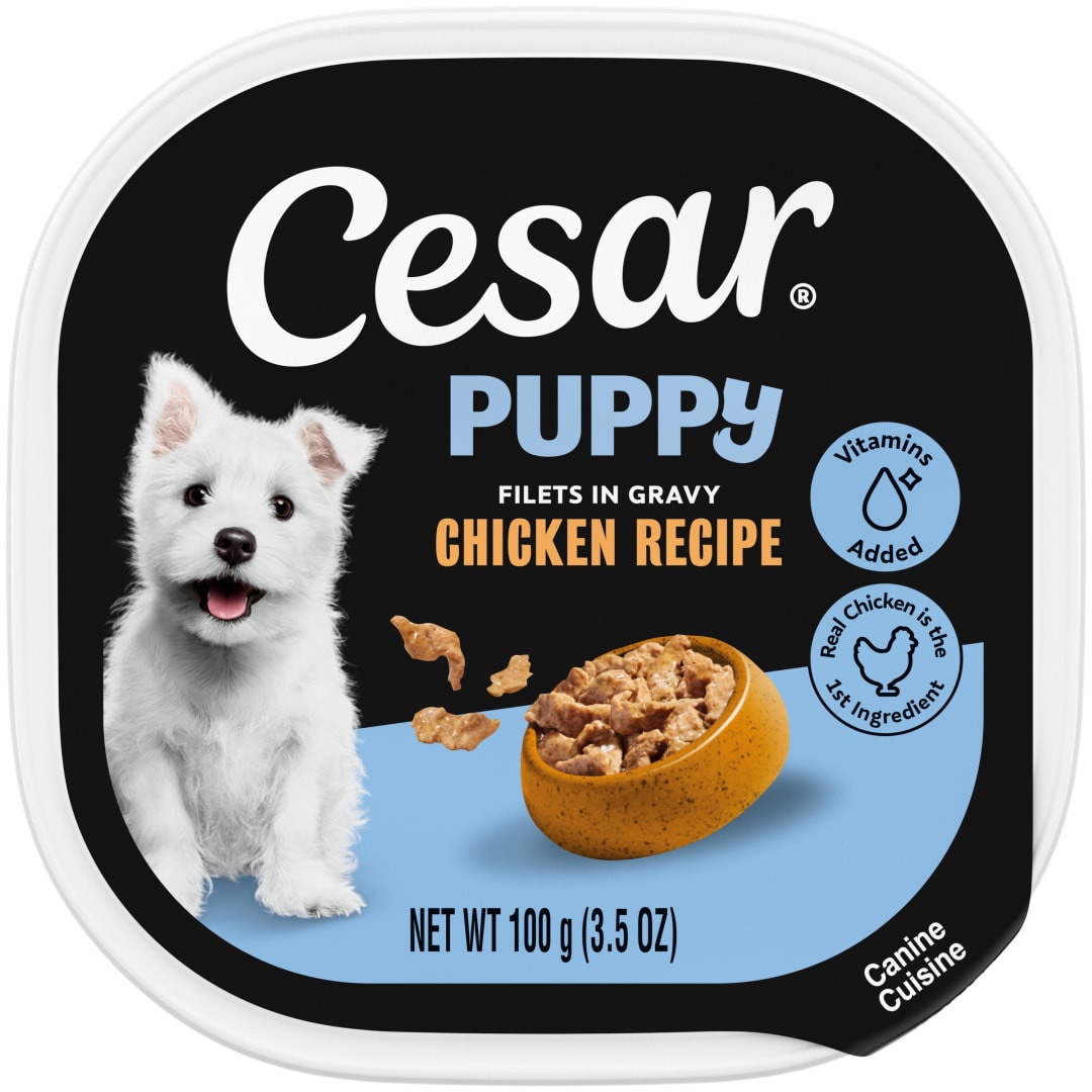 Cesar Puppy Filets in Gravy Chicken Recipe Wet Dog Food, 3.5 oz Easy Peel Tray
