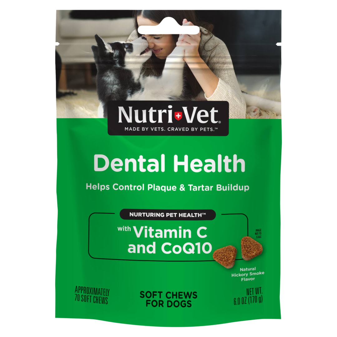 Nutri-Vet Dental Health Soft Chews for Dogs, Hickory Smoke Flavor, 70 Count