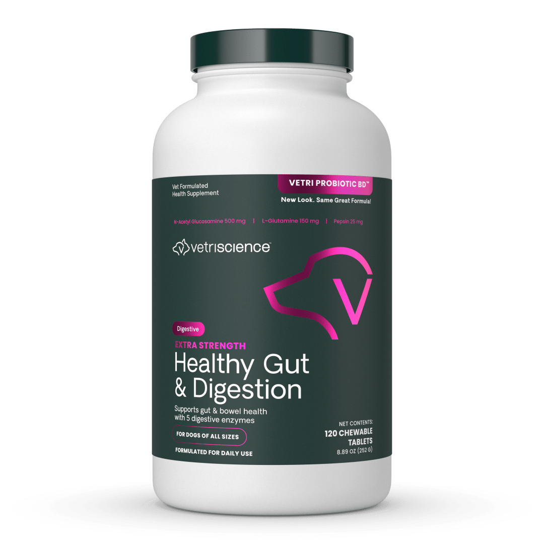 VS Extra Strength Healthy Gut & Digestion, Dogs, 120ct