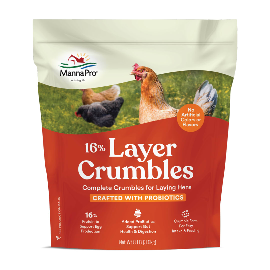 Manna Pro 16% Layer Crumbles, 8 lbs
