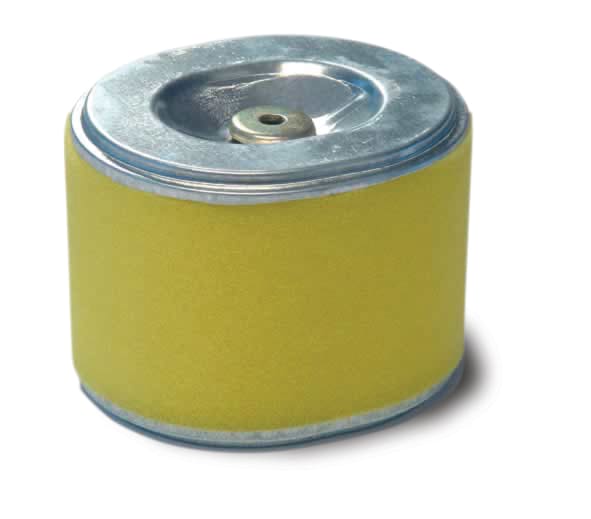 Air Filter with Foam Pre-Filter, Honda