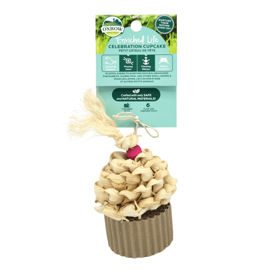 Enriched Life - Celebration Cupcake