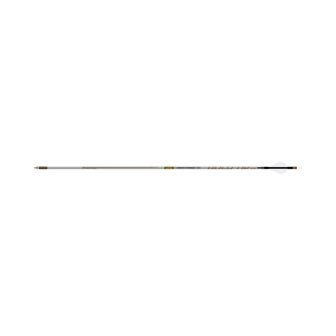 Gold Tip Airstrike Arrows .204