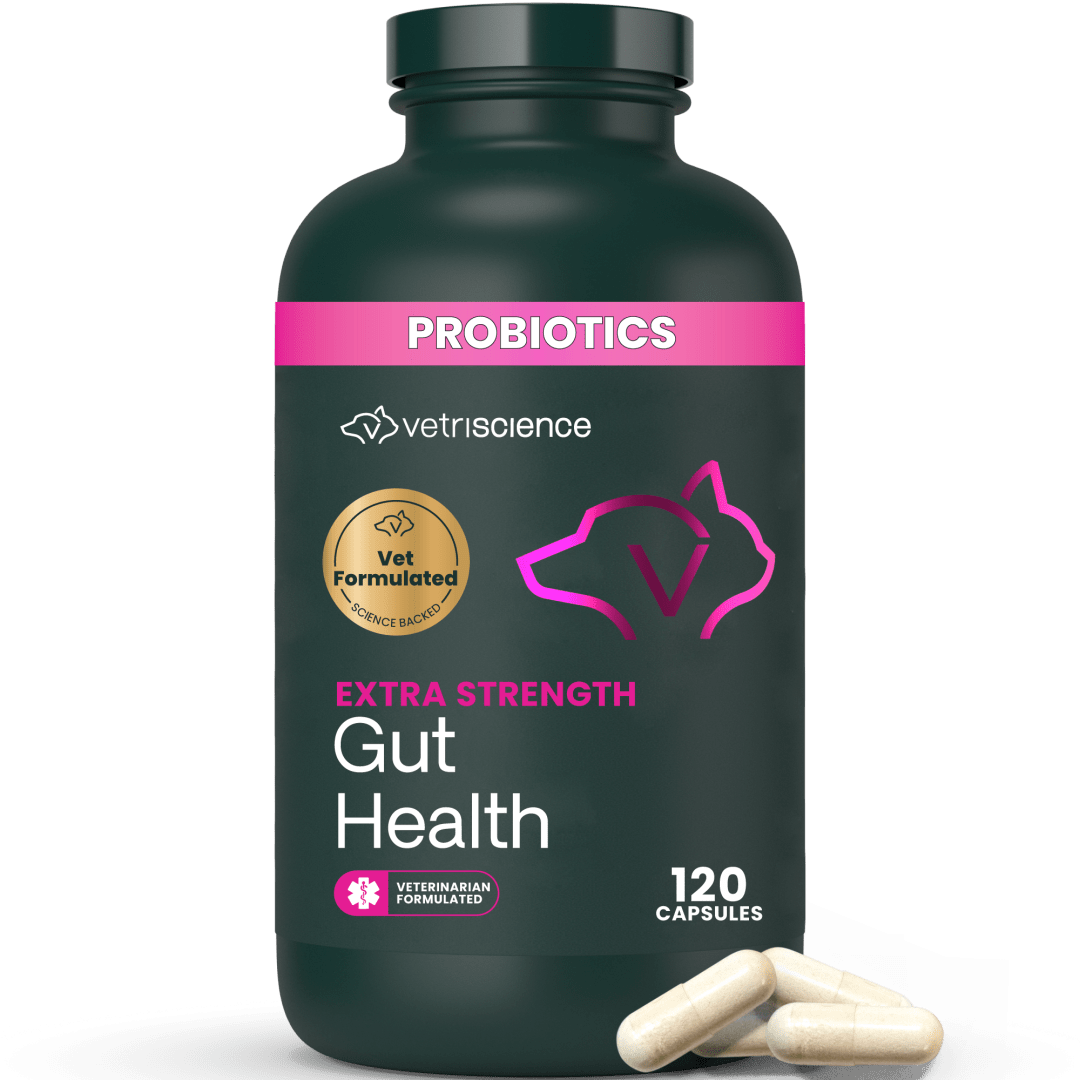 VS Extra Strength Gut Health, Capsules, 120ct