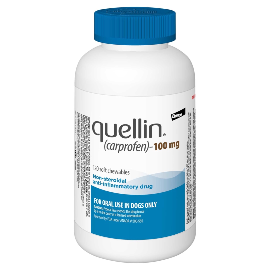 quellin Soft Chewable Tablets, 100 mg, 120 Count