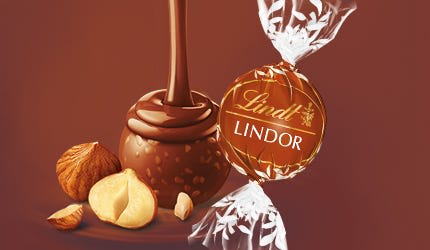 CZ- Lindor Bulk Hazelnut 10kgx1