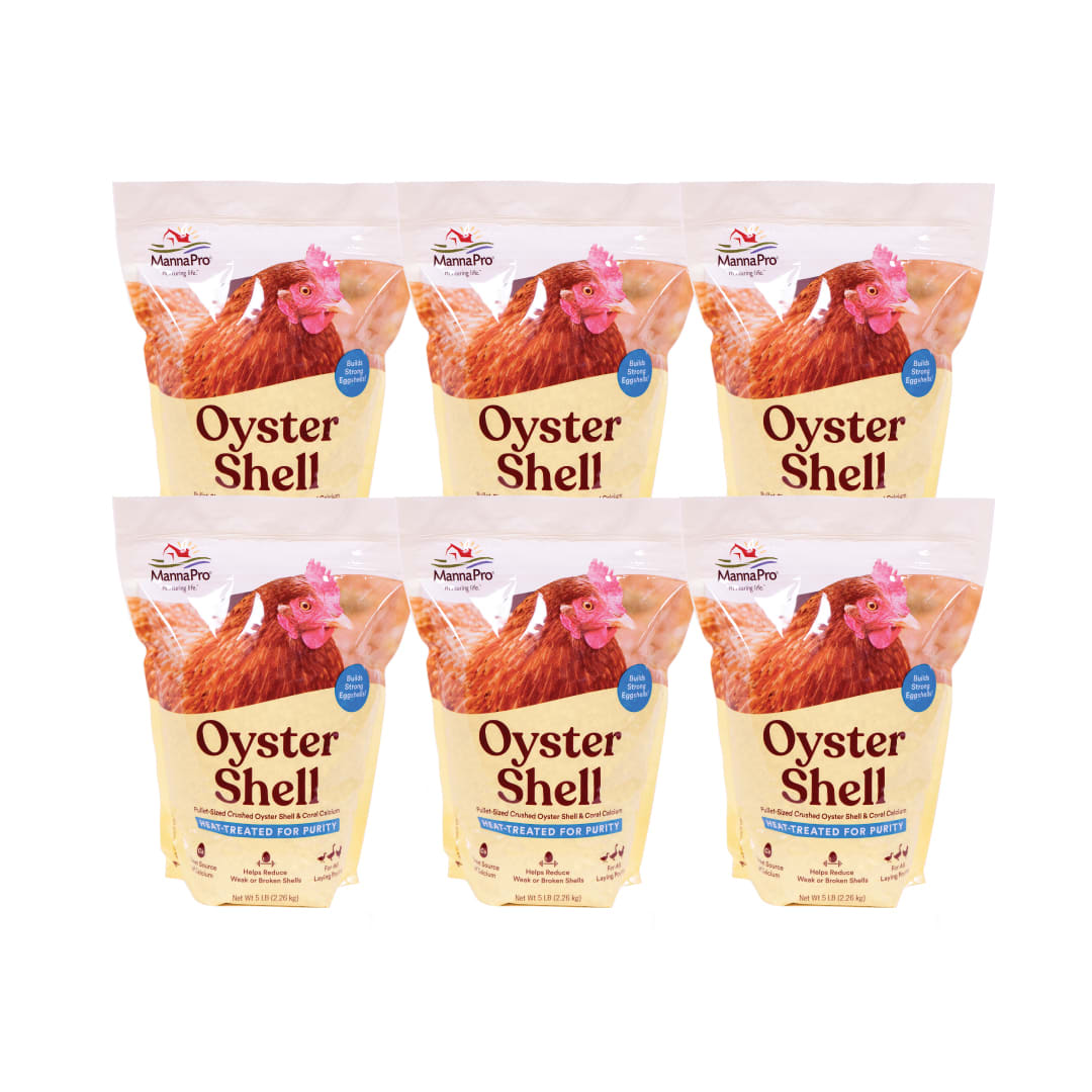 Manna Pro Crushed Oyster Shell for Laying Hens - Laying Chicken Oyster Shell - 6-Pack of 5lbs