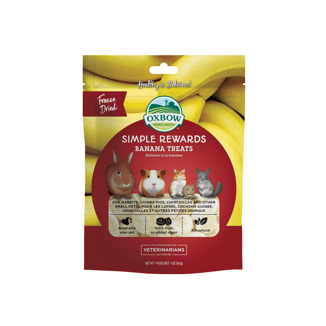 Simple Rewards Banana Treats