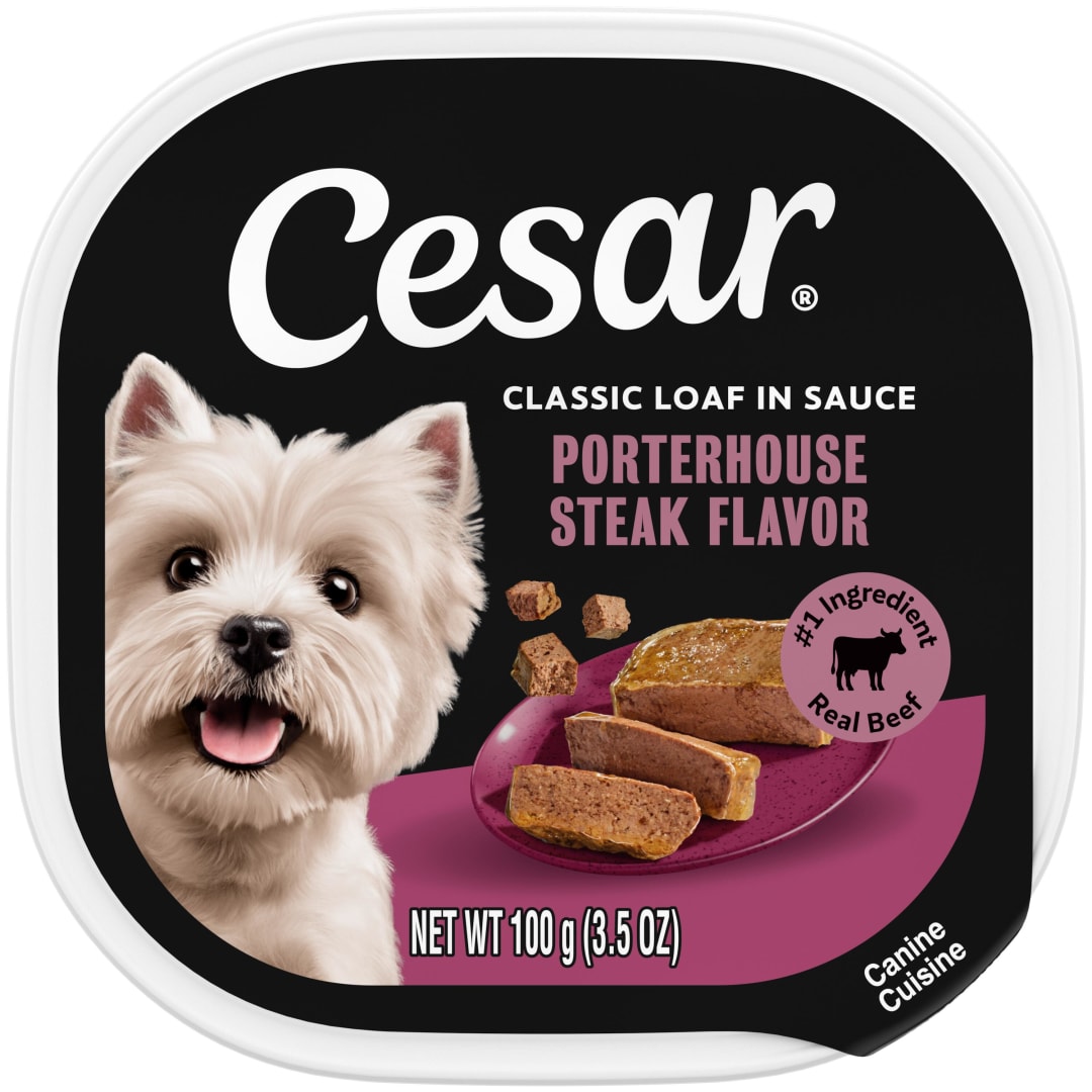 CESAR Soft Wet Dog Food Classic Loaf in Sauce Porterhouse Steak Flavor, (24) 3.5 oz. Easy Peel Trays