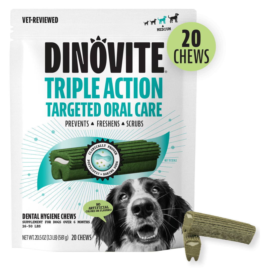 DV K9 DENTAL CHEW MED EC 6/20 CT
