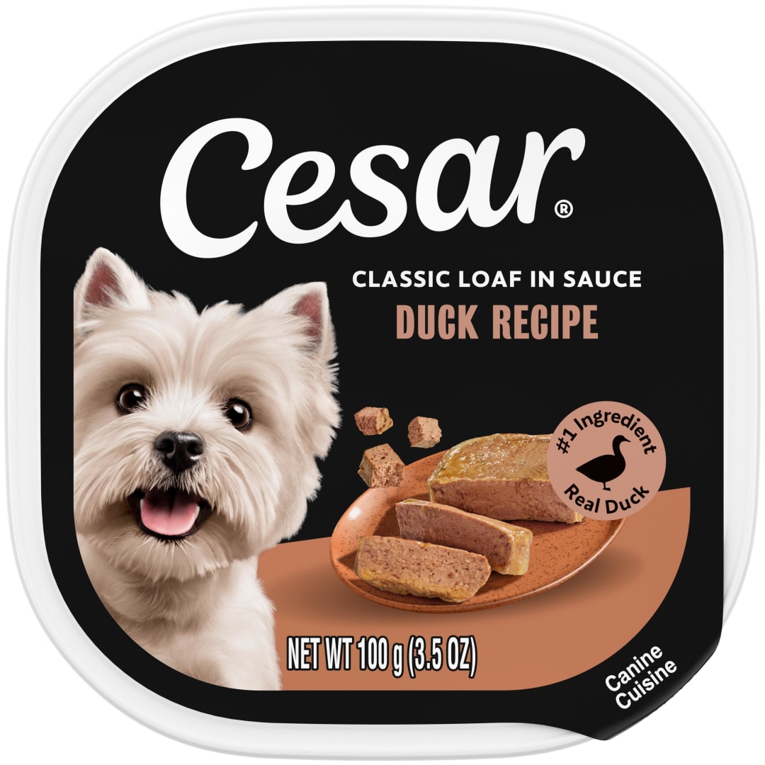 CESAR Soft Wet Dog Food Classic Loaf in Sauce Duck Recipe, (24) 3.5 oz. Easy Peel Trays