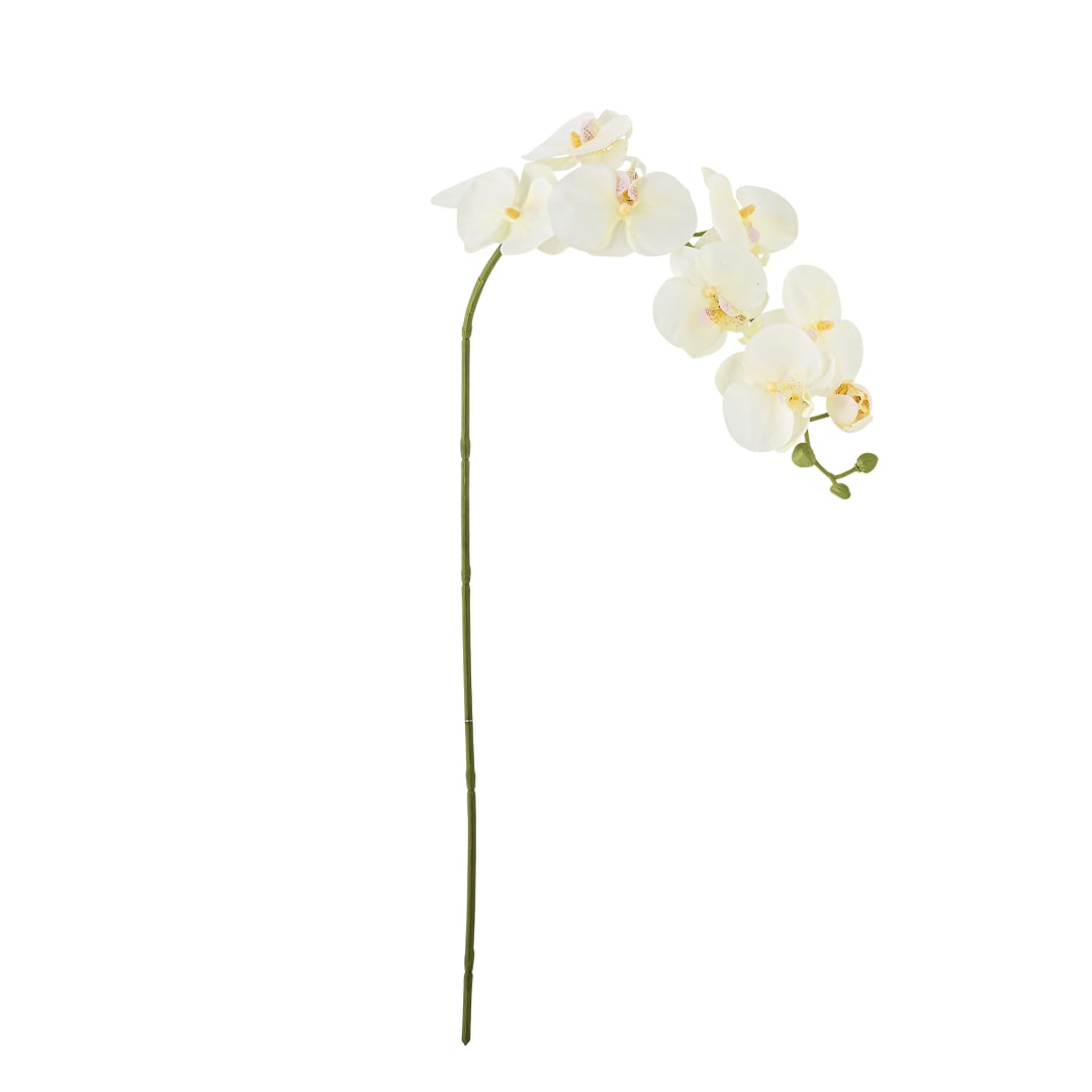 82072093 - Orchid Stem, White, Artificial Flowers STOCK: 300