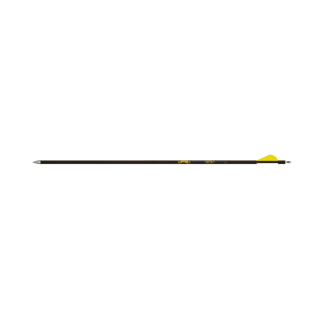 Gold Tip Triple X Pro Arrows .