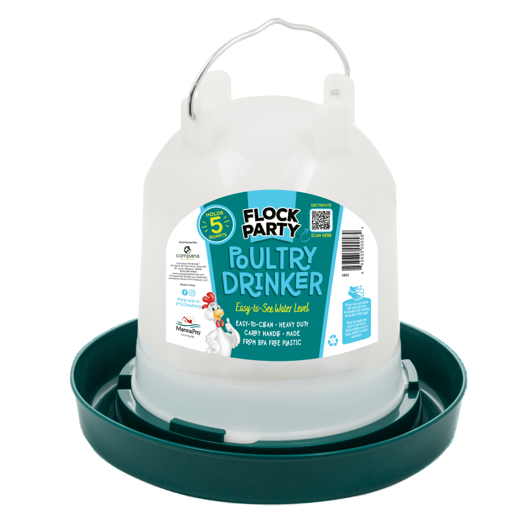 Flock Party Poultry Drinker Teal, 5 qt