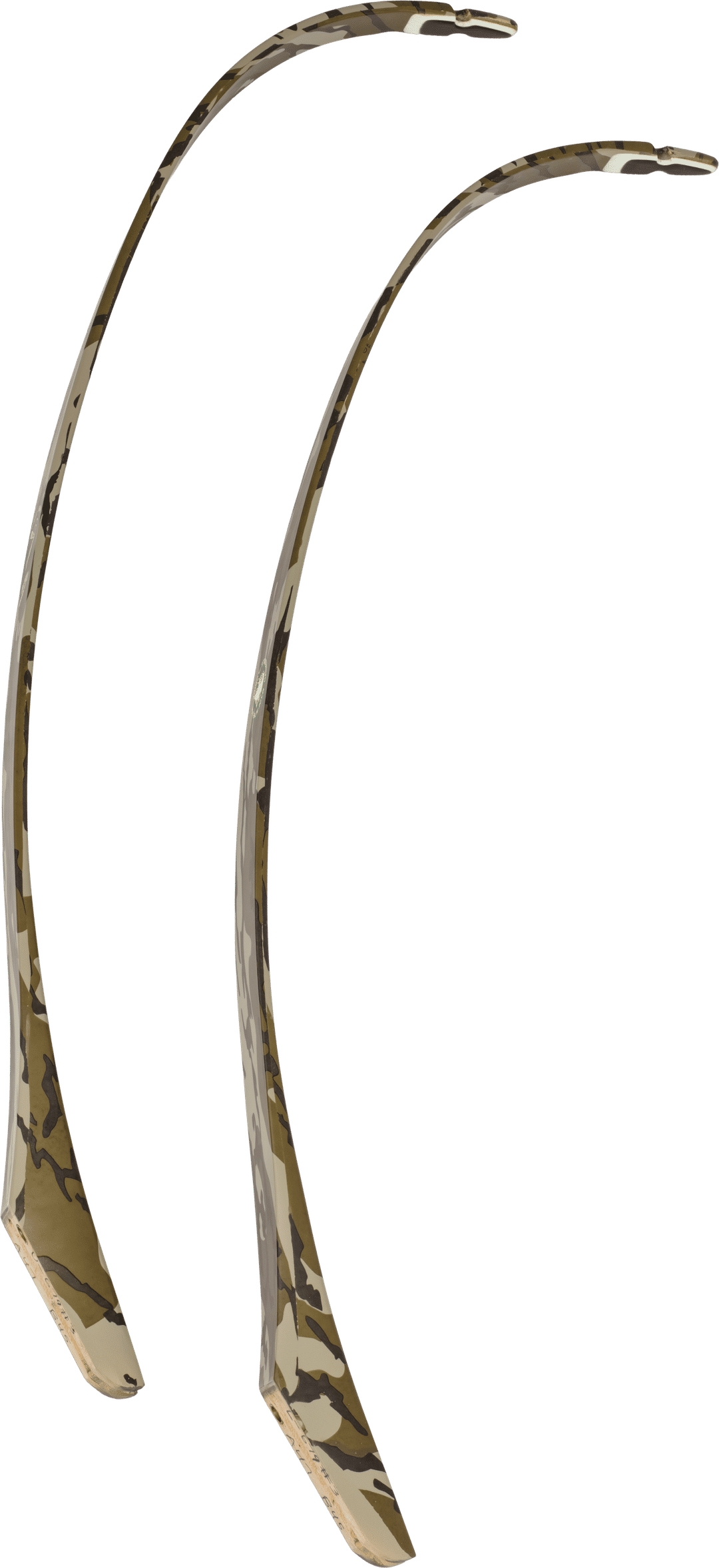 Bear #3 LIMB BOTTOMLANDS - 55