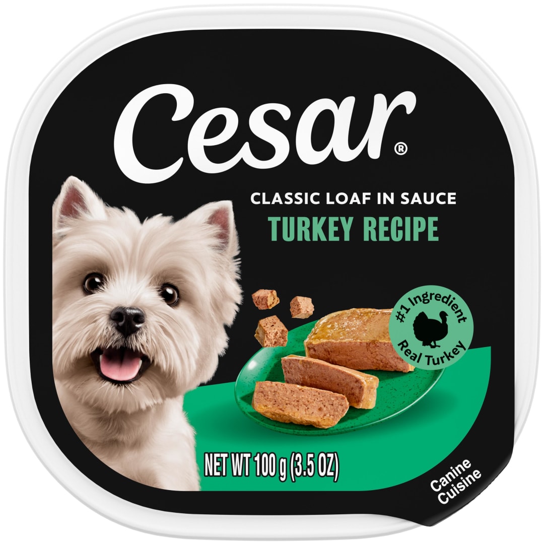 CESAR Wet Dog Food Classic Loaf in Sauce Turkey Recipe, (24) 3.5 oz. Easy Peel Trays