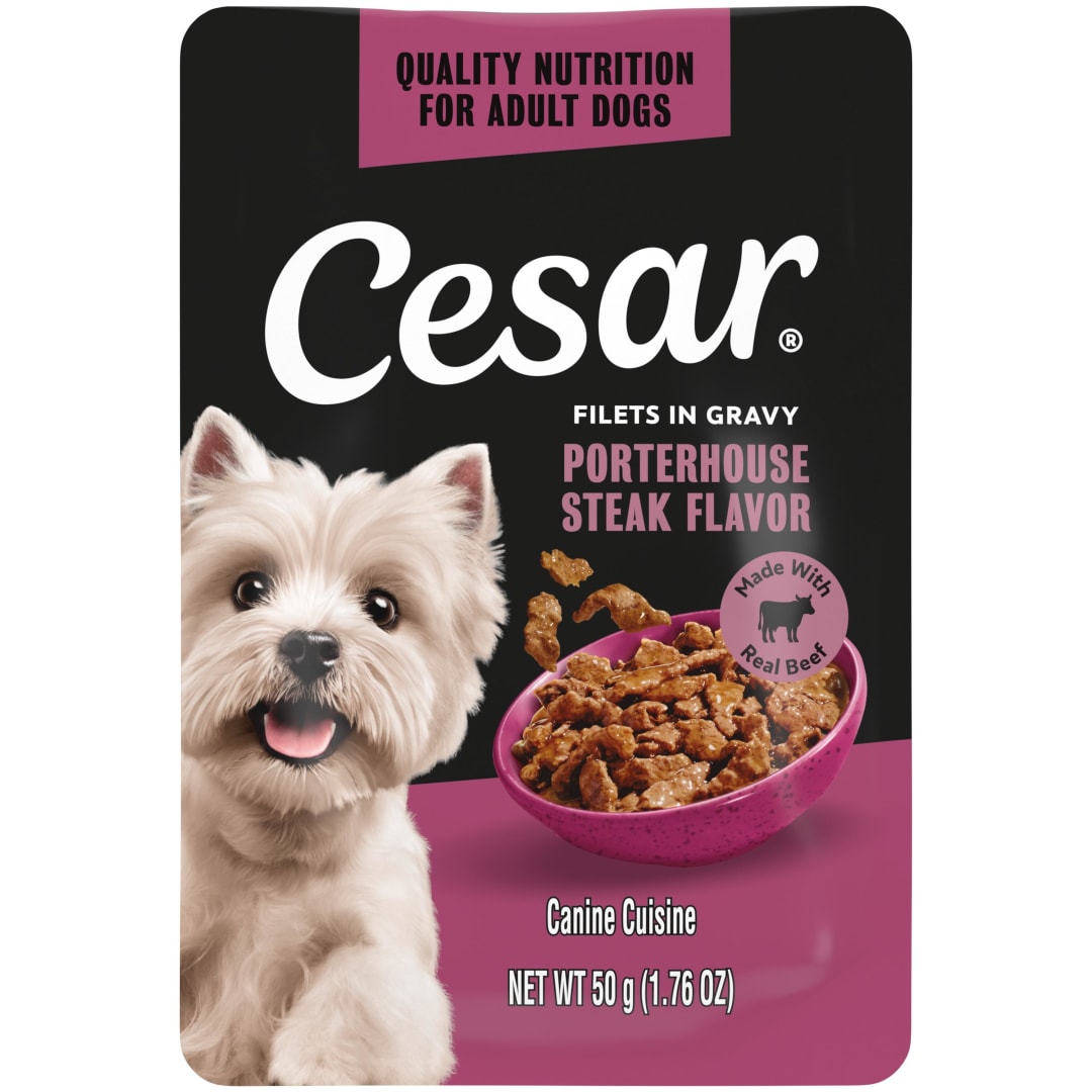 Cesar Filets in Gravy Porterhouse Steak Flavor Wet Dog Food, 1.76-oz Mini-Pouch
