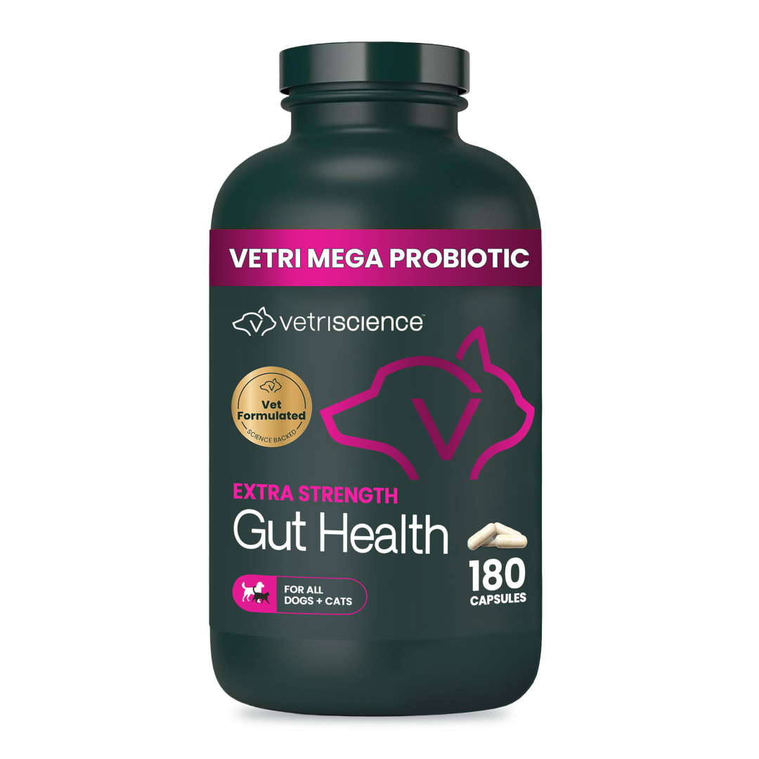 VS Extra Strength Gut Health, Capsules, 180ct