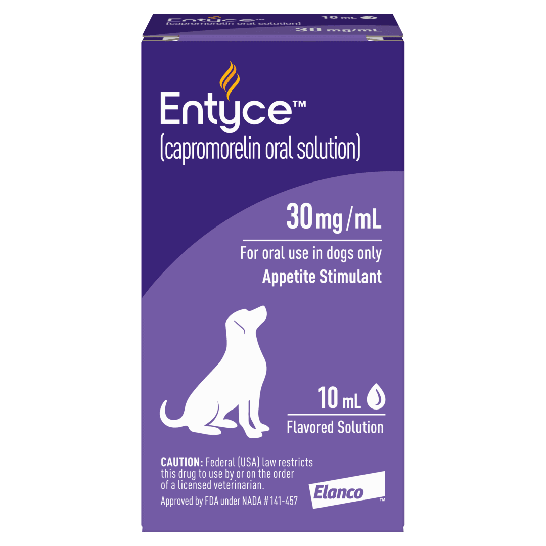 Entyce Dog Entyce Dog Appetite Stimulant | Oral Solution for Dogs | 30mg/ml - 10 ml