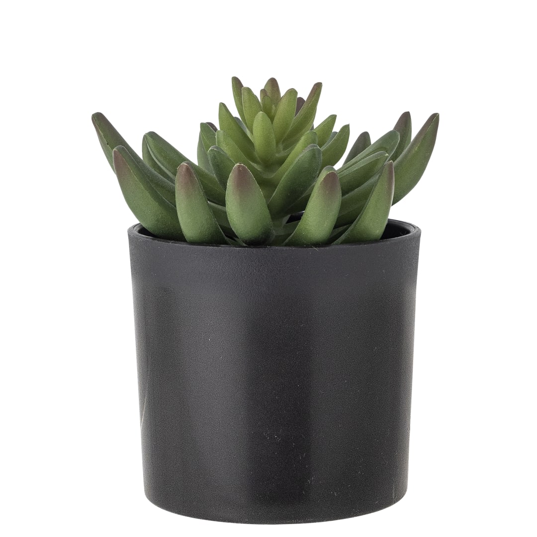 82061505 - Echeveria Plant, Green, Artificial Flowers STOCK: 300