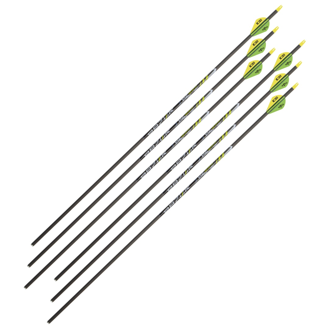 Razor™ RZ350 Carbon Arrow 30-Inch by Allen Company, 6-Pack, Black