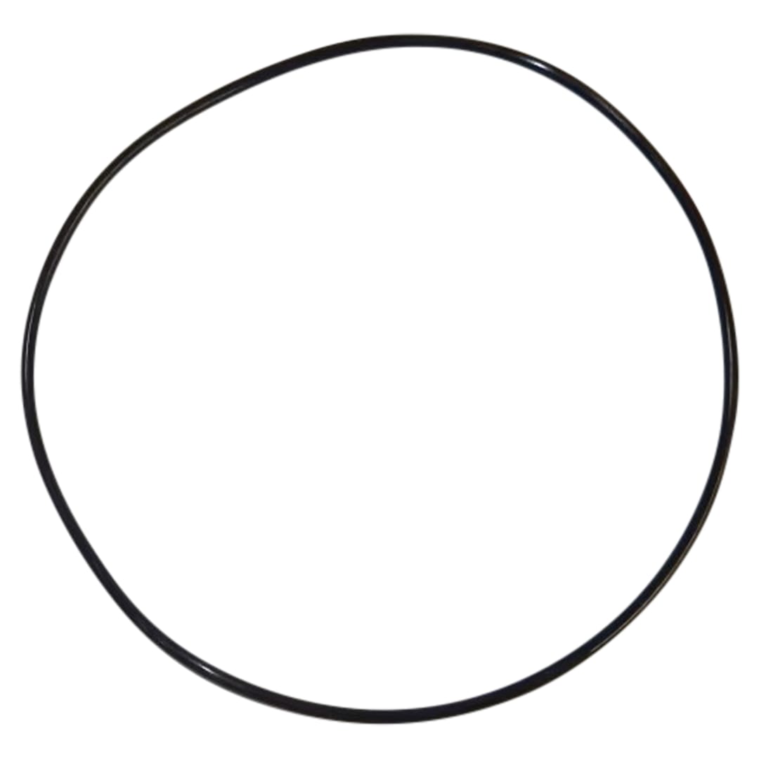 Wastebuilt® Replacement for McNeilus O-Ring Backup Filter In Tank