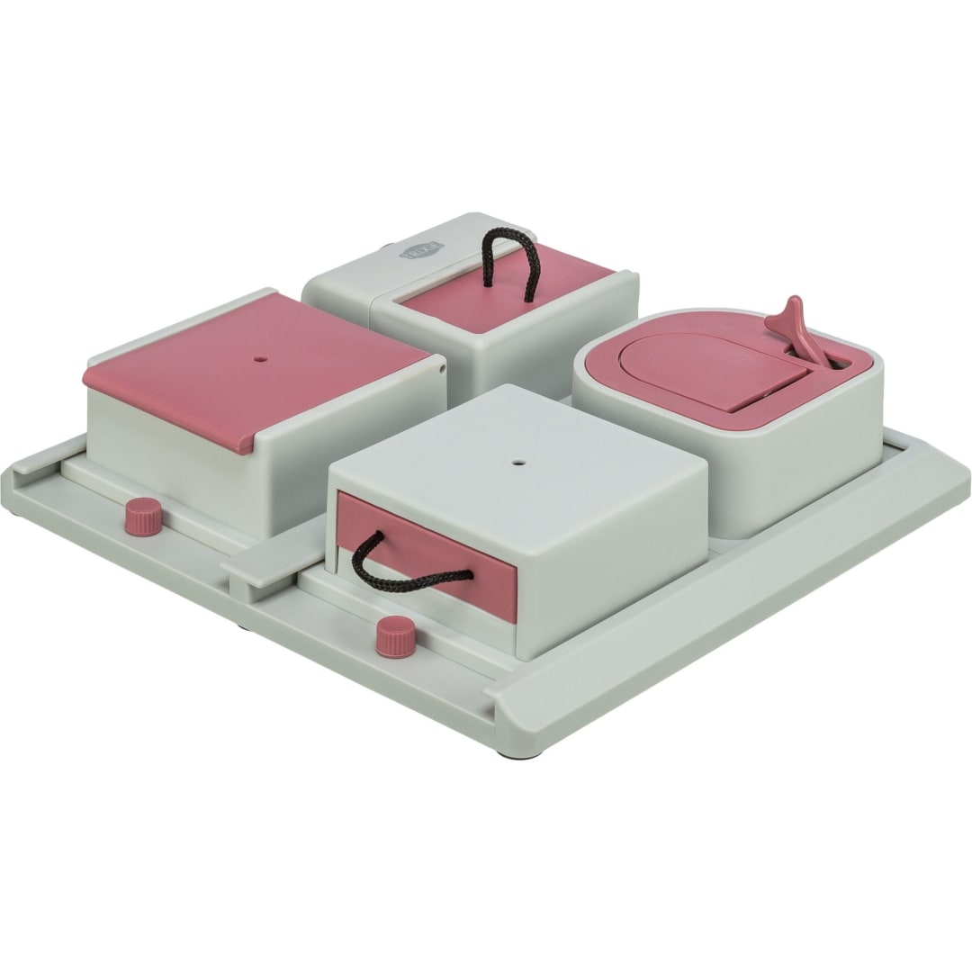 Cat Activity Poker Box