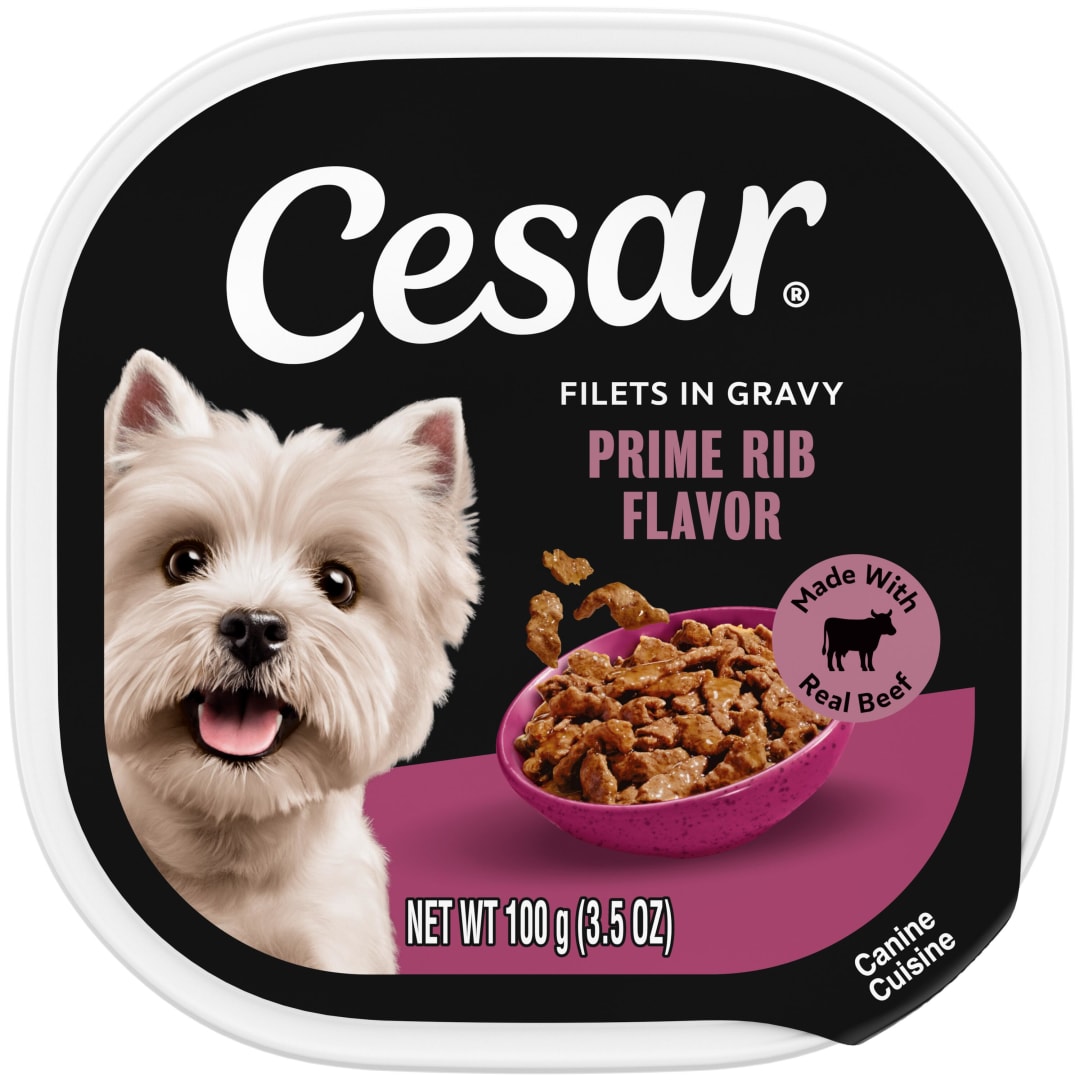 CESAR Adult Soft Wet Dog Food Filets in Gravy Prime Rib Flavor, (24) 3.5 oz. Trays