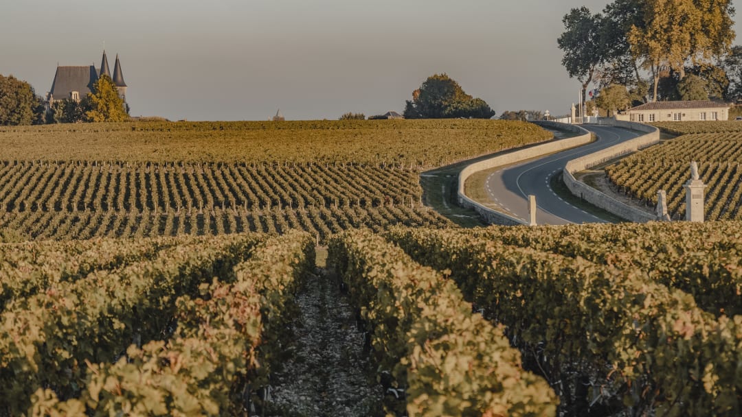 Pauillac