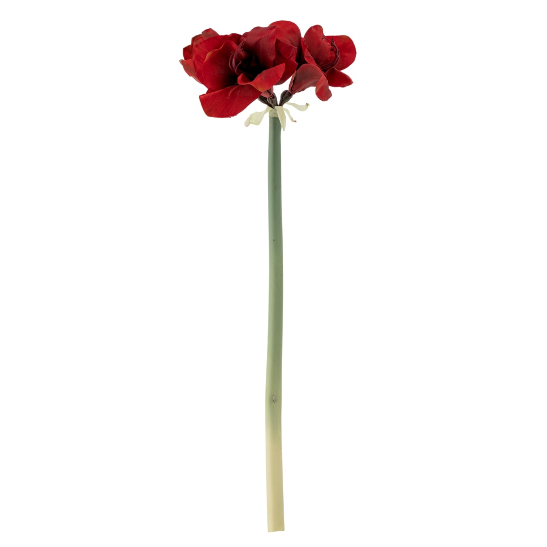 82073043 - Amaryllis Stem, Red, Artificial Flowers STOCK: 300