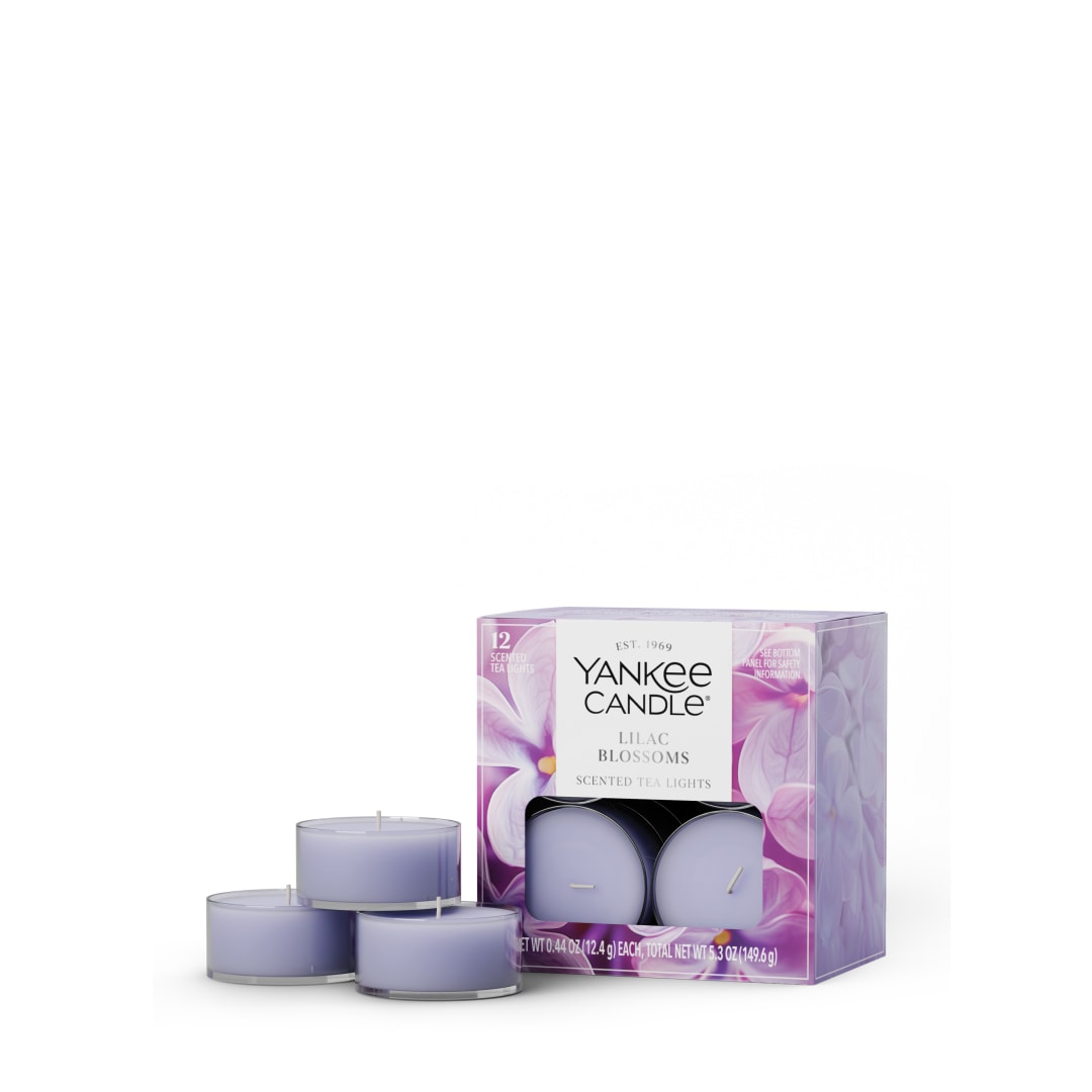 TEA-YC 12CT LLC BLSSM