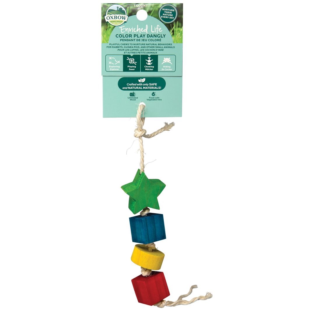 Enriched Life - Color Play Dangly