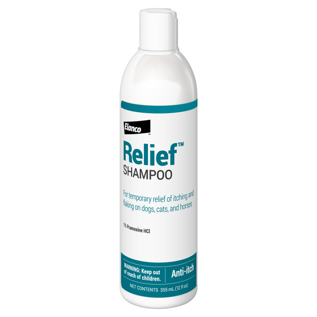 Relief Shampoo, 12 oz Bottle