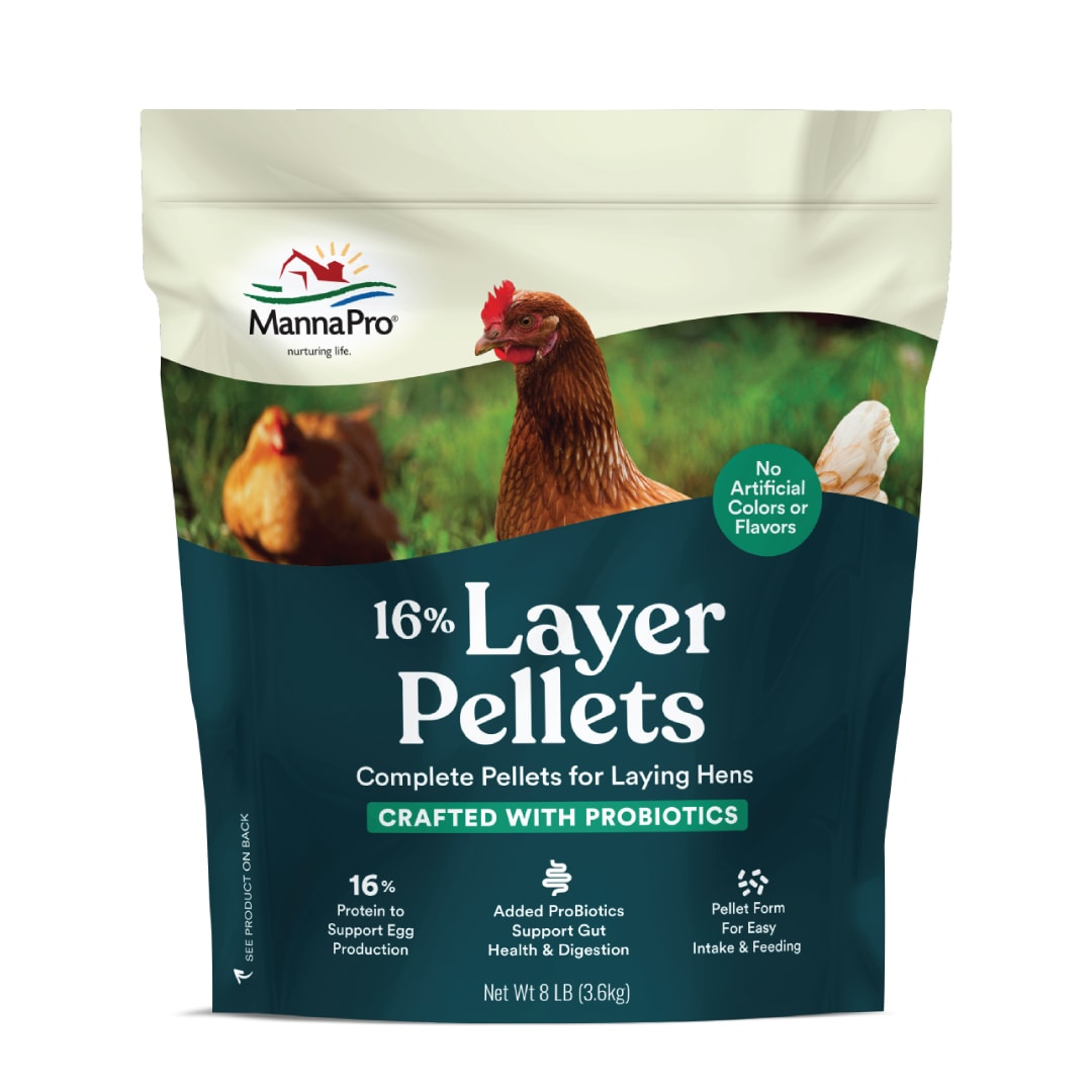 Manna Pro 16% Layer Pellets, 8 lbs
