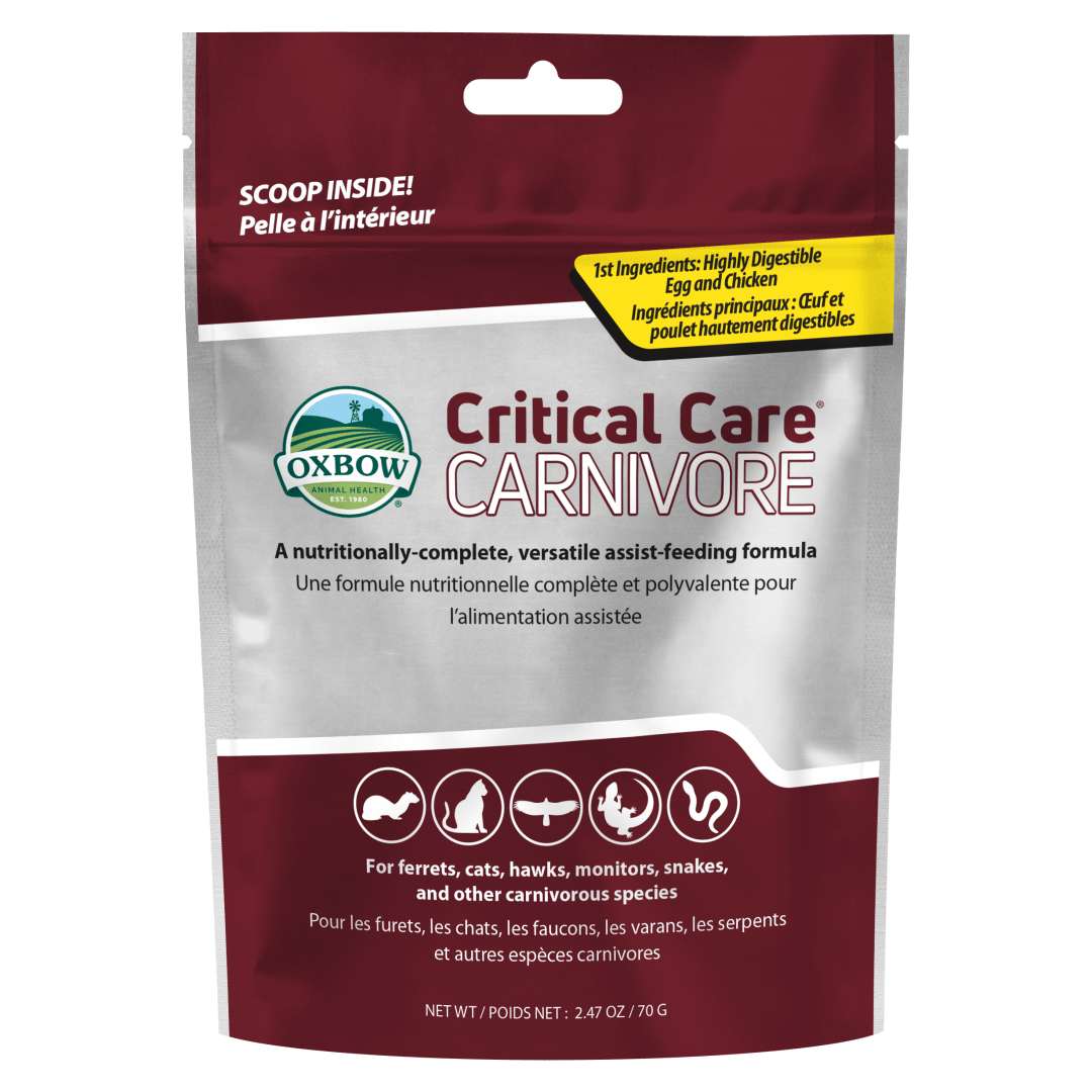 Critical Care Carnivore (70g)