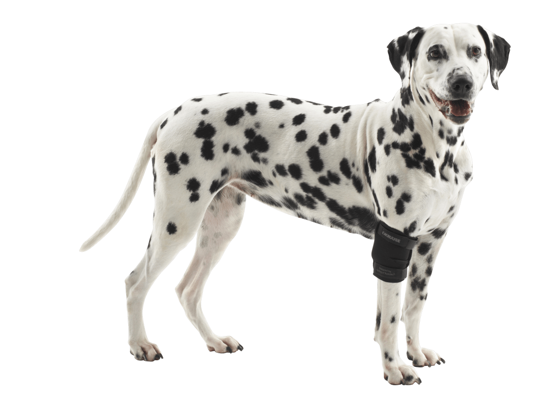 Rehab Elbow Protector, Black, X-Small