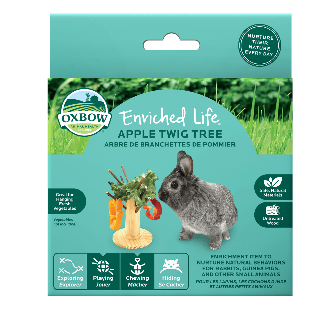 Enriched Life - Apple Twig Tree