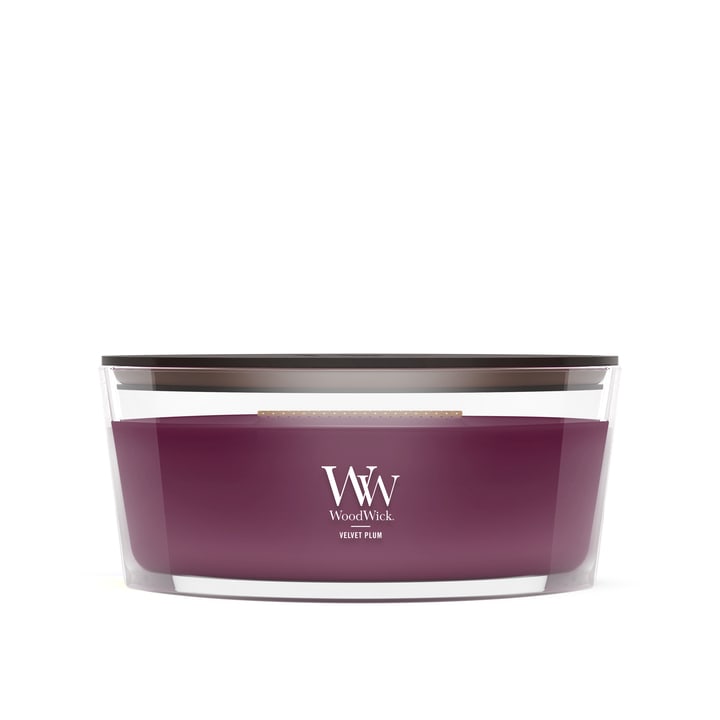 JAR-WW EL VLVT PLM