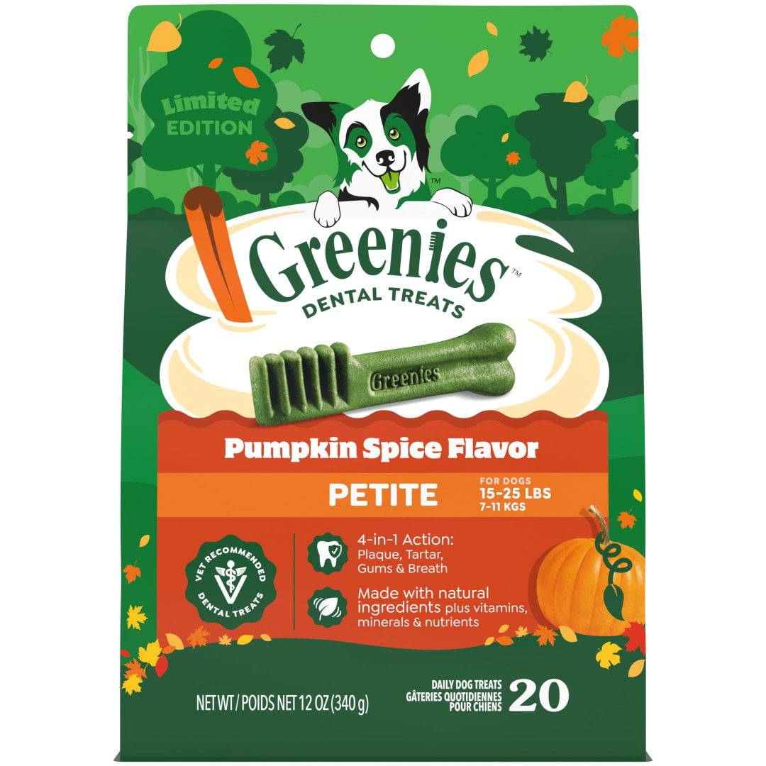 GREENIES Pumpkin Spice Flavor Petite Dog Dental Chews 12 Ounces 20 Treats