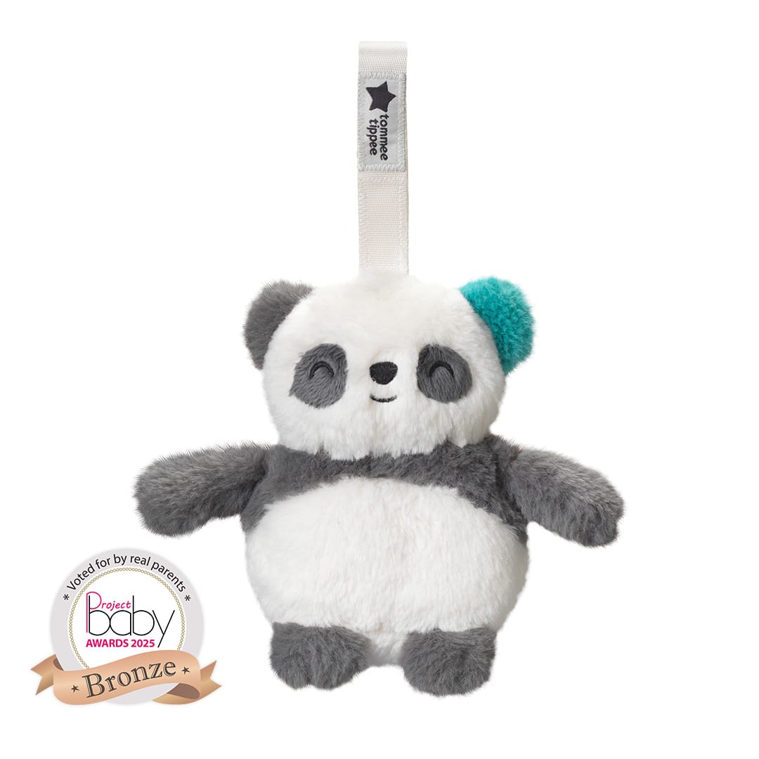 TT PIP THE PANDA TRAVEL SLEEP AID