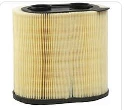 Donaldson 9.95 X 6.80 X 9.53 Primary Obround Filter