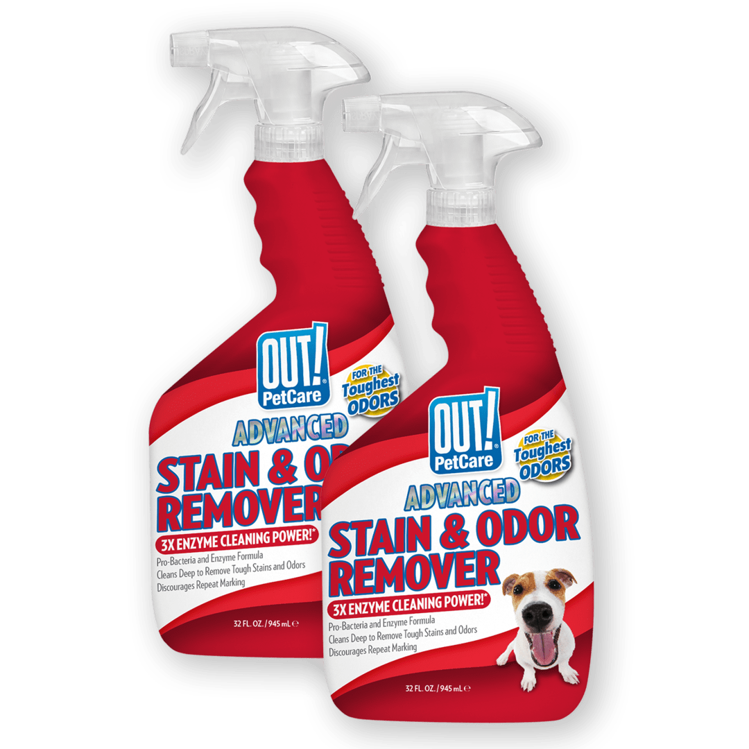 OUT! PetCare Advanced Stain and Odor Remover- Pro-Bacteria and Enzyme Formula for Tough Stains and Odor- 32 oz (Pack of 2)