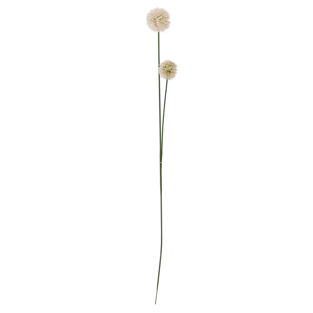 82061506 - Phlox Stem, Nature, Artificial Flowers STOCK: 300