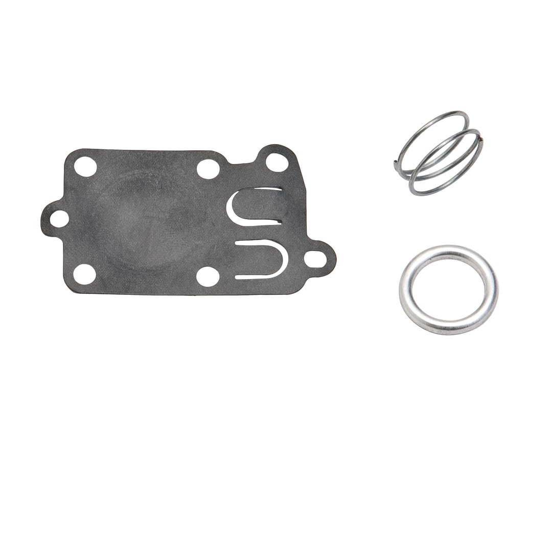 Diaphragm Kit, Briggs and Stratton