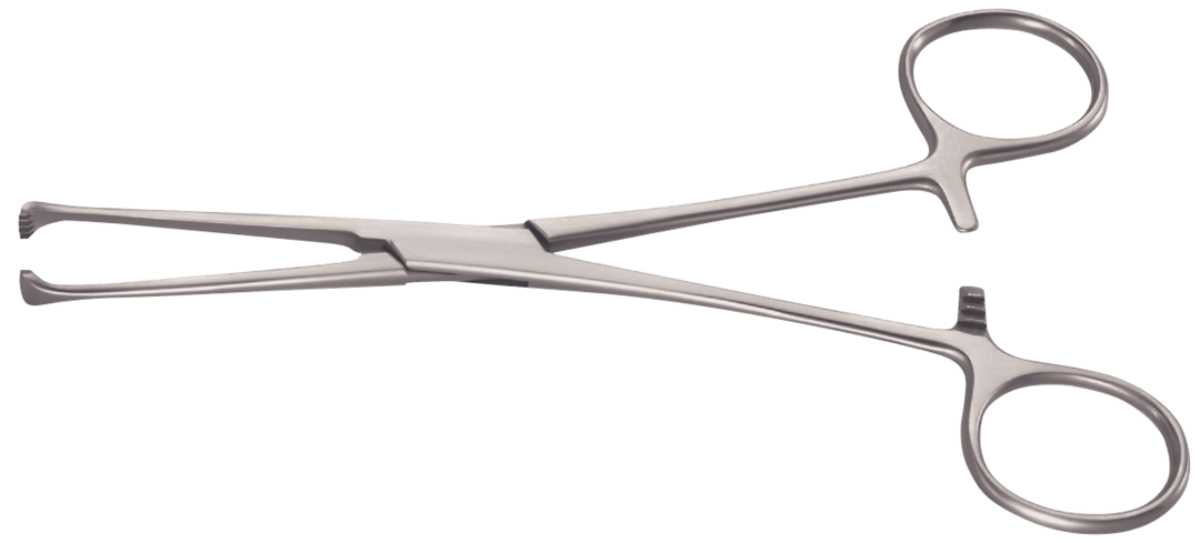 Covetrus Allis Tissue Forceps, 5 x 6 Teeth, 15cm